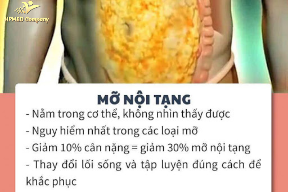 Cách giảm mỡ nội tạng hiệu quả
