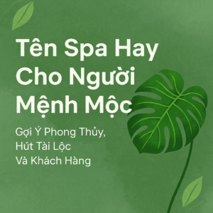 Tên Spa Hay Cho Người Mệnh Mộc – Gợi Ý Hợp Phong Thủy, Hút Tài Lộc Và Khách Hàng