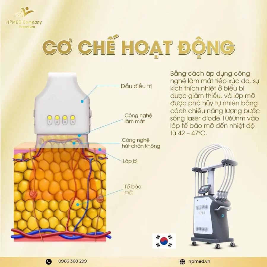 Máy Giảm Béo Diode Laser 1060 Lipo Cao Câp Hàn Quốc