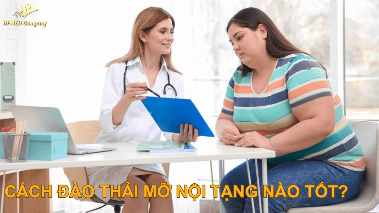 Mỡ nội tạng là gì?