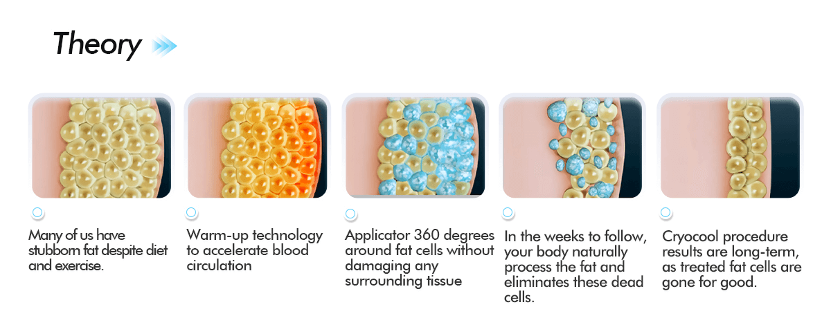 Công Nghệ Giảm Béo Quang Đông Cryolipolysis - Nguyên lý hoạt động và ứng dụng ? 2 MÁY GIẢM BÉO QUANG ĐÔNG 360 Cryolipolysis SANHE - 05