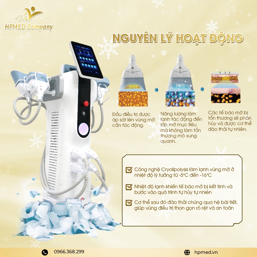 Máy Giảm Béo Quang Đông 360 Cryolipolysis 💎 Giải Pháp Làm Gọn Vóc Dáng An Toàn Cho Spa Hiện Đại